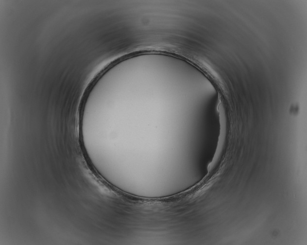 X0000091990940200710041127