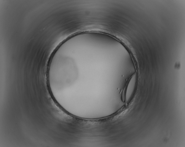 X0000091990941200710041127