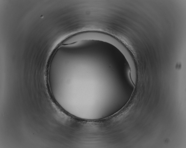 X0000091990942200710041127