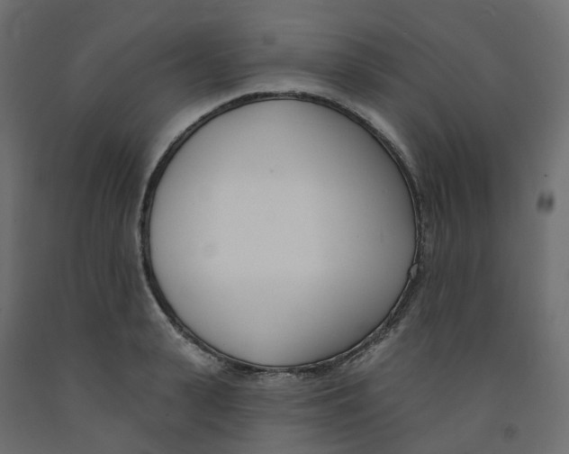 X0000091990943200710041127