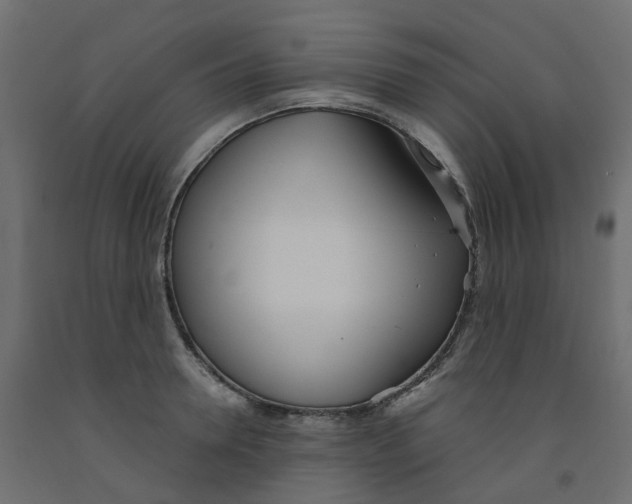 X0000091990946200710041127