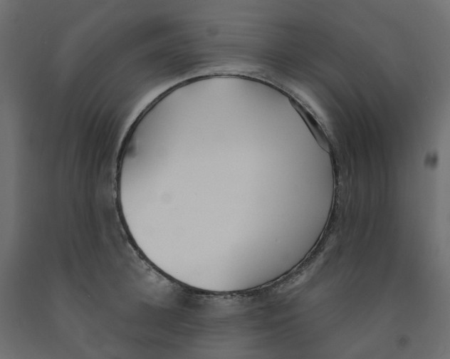 X0000091990948200710041127