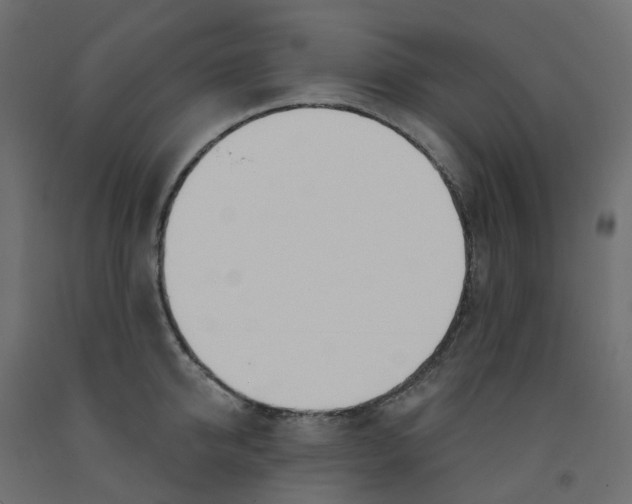 X0000091990950200710041127