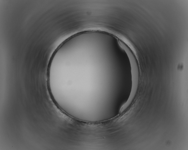 X0000091990951200710041127