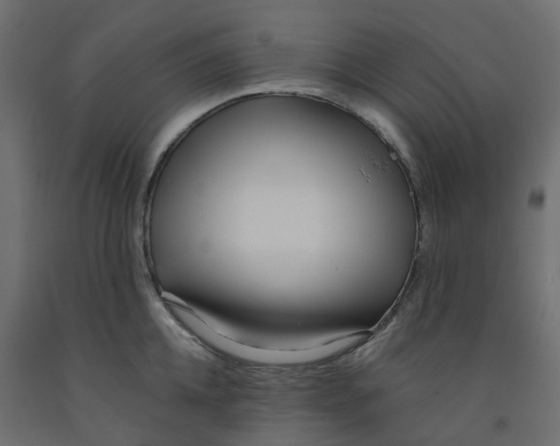 X0000091990952200710041127