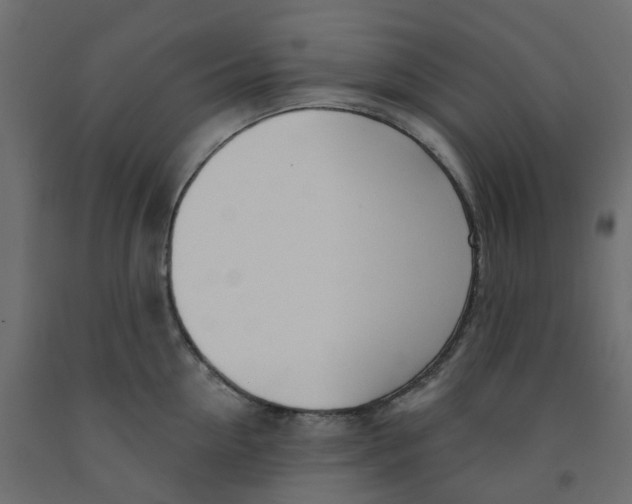 X0000091990954200710041127