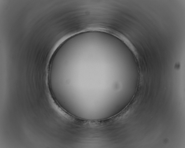 X0000091990955200710041127