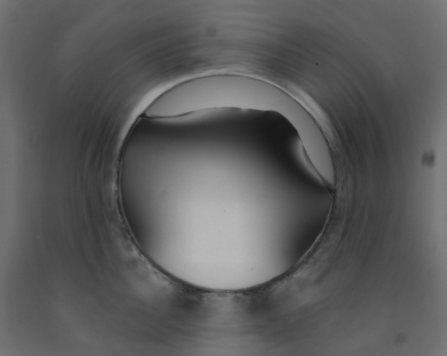 X0000091990956200710041127