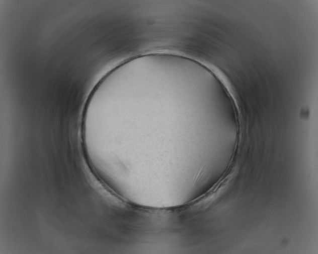 X0000091990957200710041127
