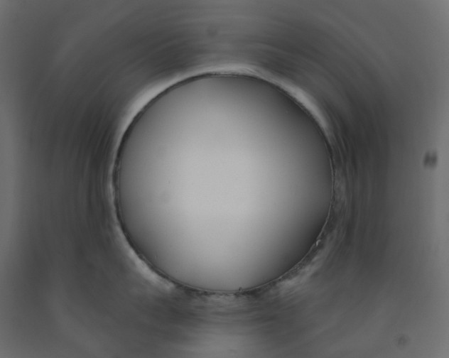 X0000091990959200710041127