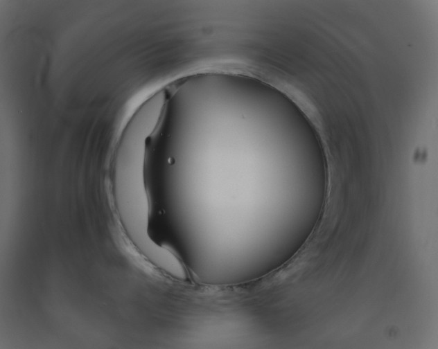 X0000091990960200710041127