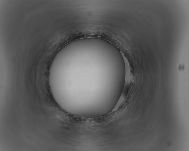 X0000091990961200710041127