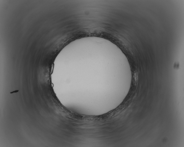 X0000091990963200710041127