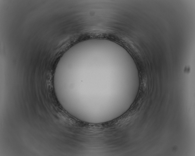 X0000091990964200710041127