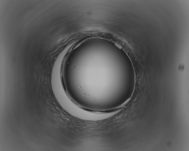 X0000091990965200710041127