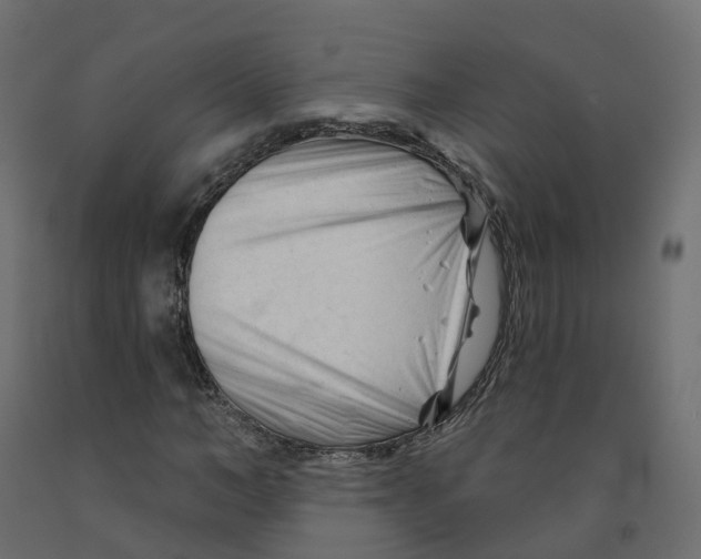 X0000091990966200710041127
