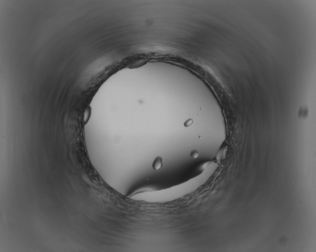 X0000091990967200710041127