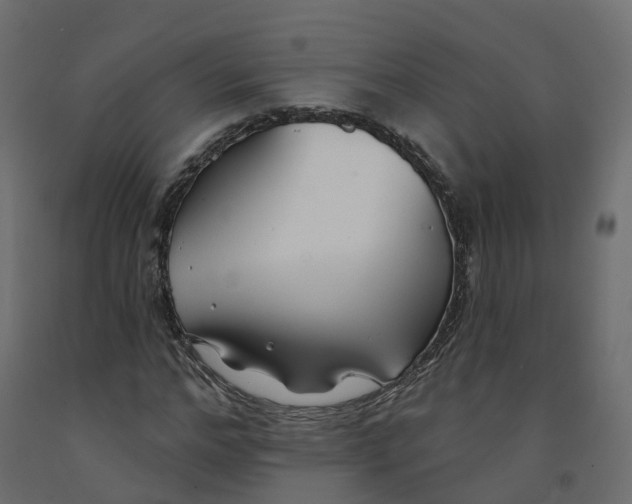 X0000091990968200710041127