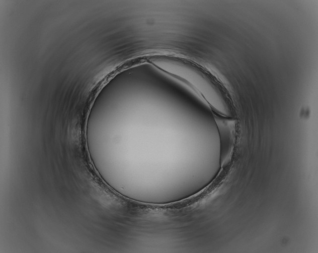 X0000091990969200710041127