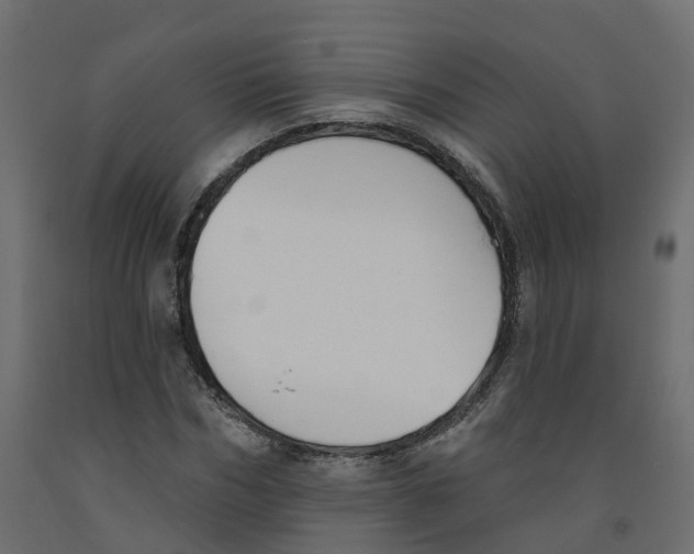 X0000091990970200710041127