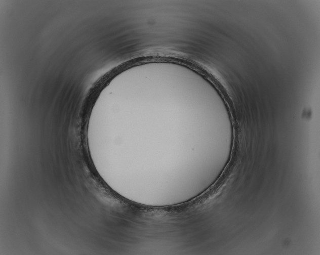 X0000091990971200710041127
