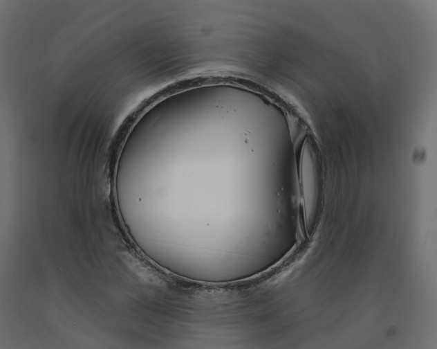 X0000091990973200710041126