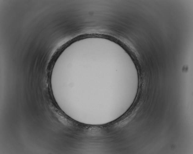 X0000091990974200710041126
