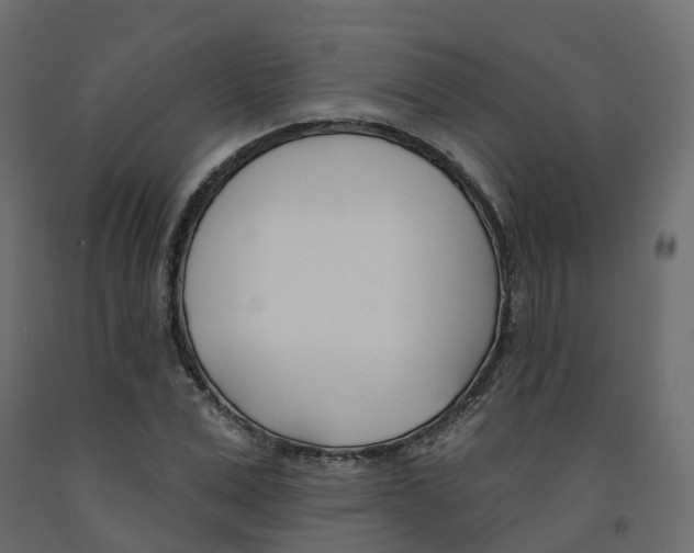 X0000091990975200710041126