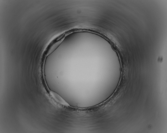 X0000091990976200710041126