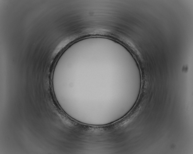 X0000091990978200710041126