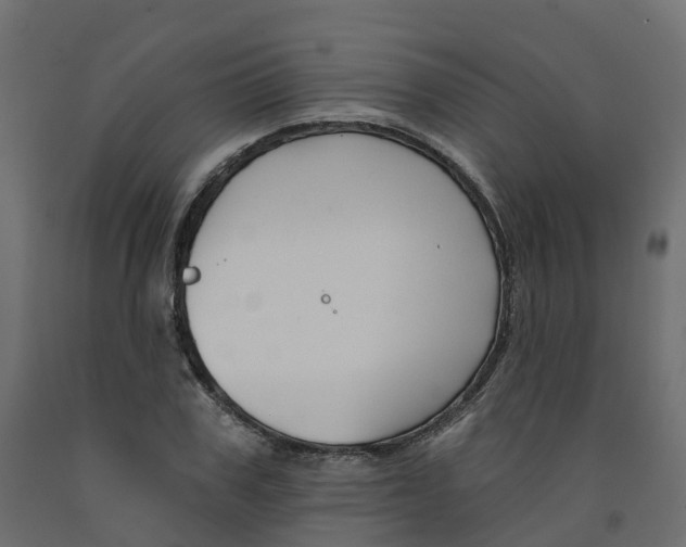 X0000091990979200710041126