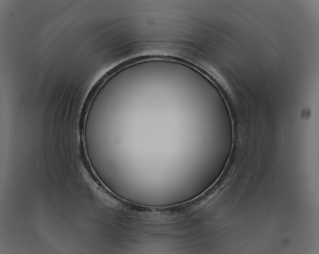 X0000091990980200710041126