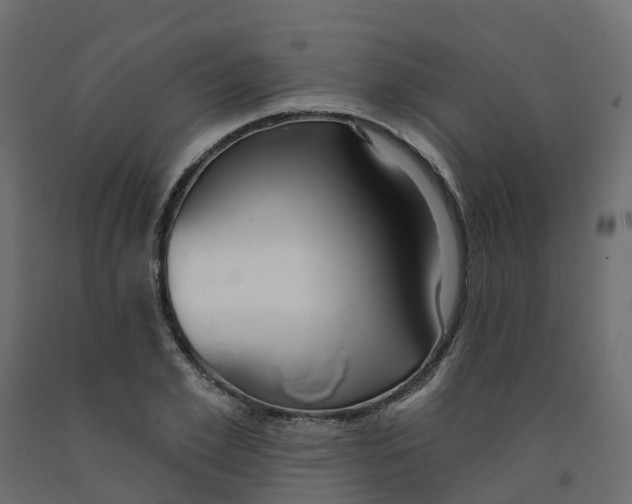 X0000091990981200710041126