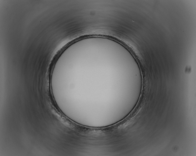 X0000091990982200710041126