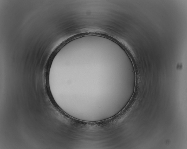 X0000091990983200710041126