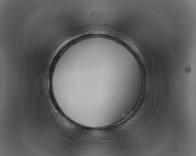 X0000091990984200710041126