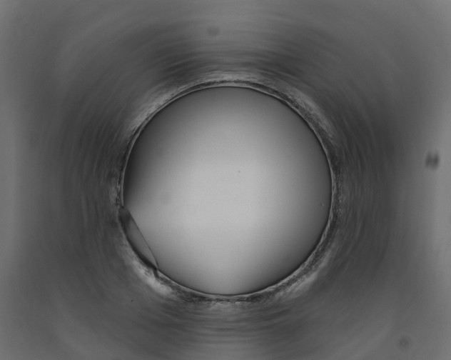 X0000091990985200710041126