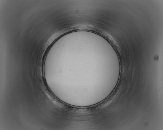 X0000091990986200710041126