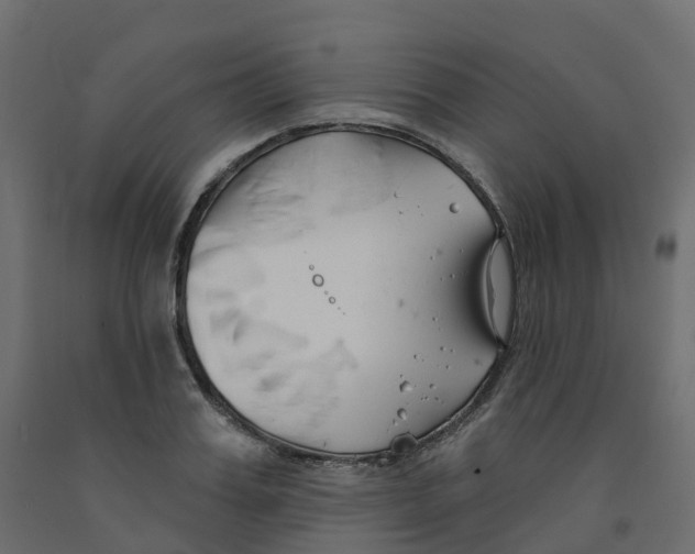 X0000091990987200710041126