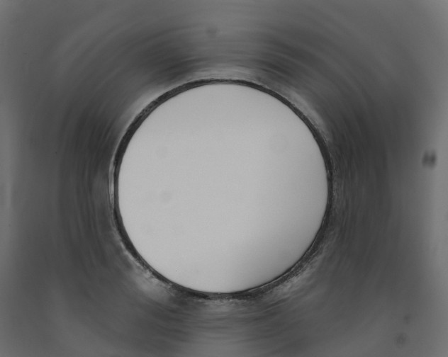 X0000091990988200710041126