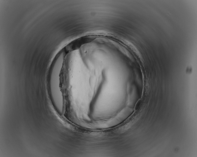 X0000091990989200710041126