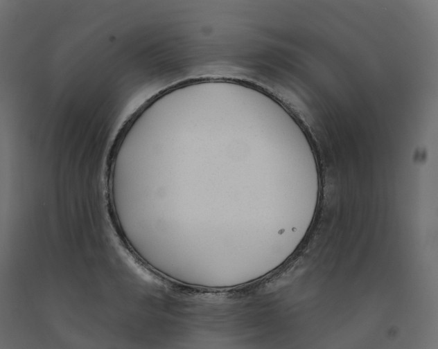 X0000091990990200710041126