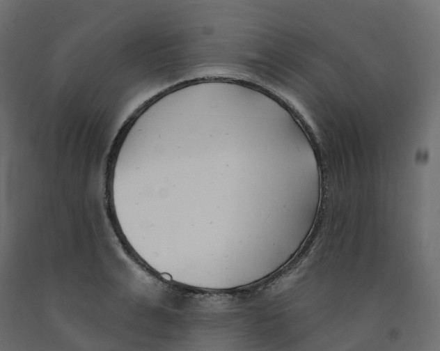 X0000091990991200710041126