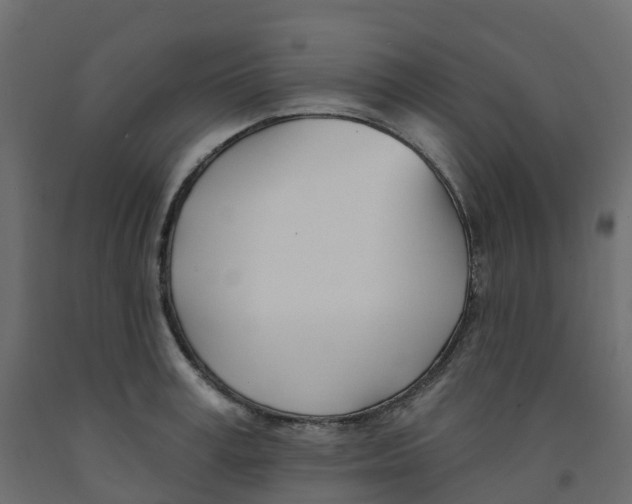 X0000091990995200710041126