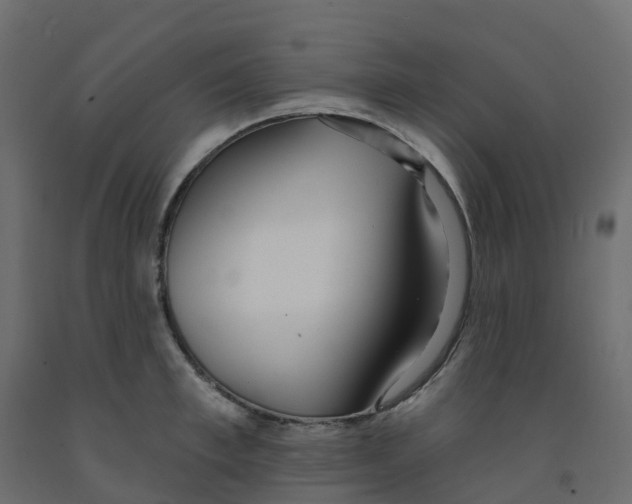 X0000091990997200710041126