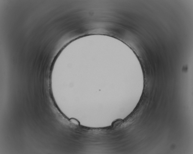 X0000091991000200710041126