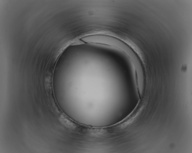 X0000091991001200710041126