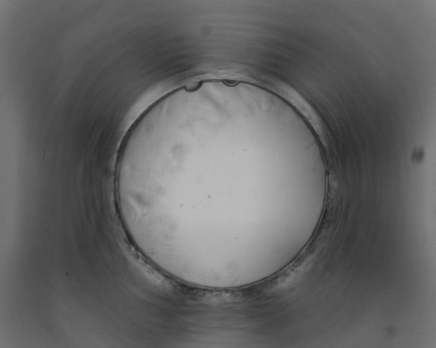 X0000091991002200710041126
