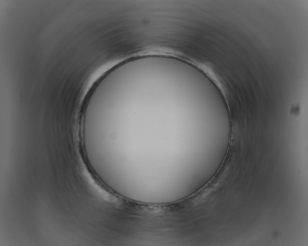 X0000091991003200710041126