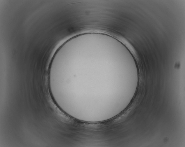 X0000091991004200710041126